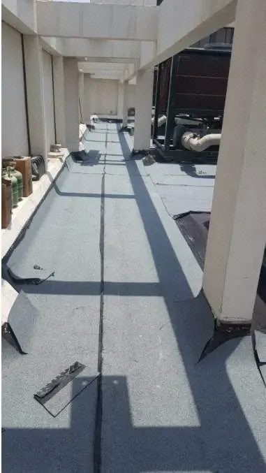 Mineral waterproofing membrane